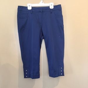 4/$20 Blue Capri Pants by Zach & Rachel Blue Sz 8